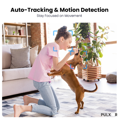 Security Camera Pulxor