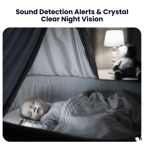 Security Camera Pulxor